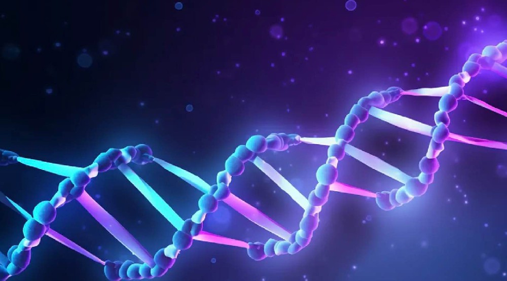 分子生物学相关